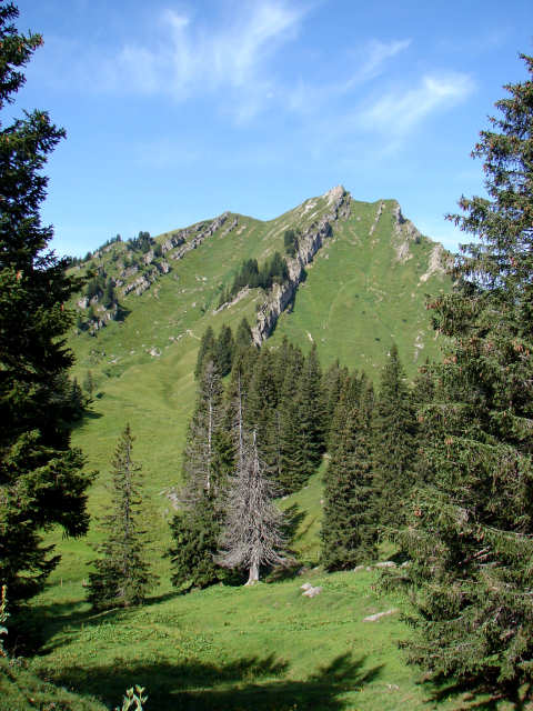 Rindalphorn