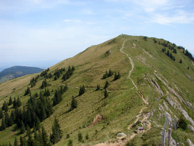 Sederer