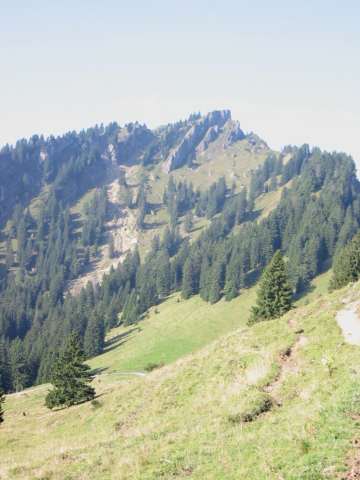 Steineberg
