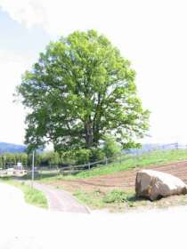 Neubaugebiet am 20.5.2002