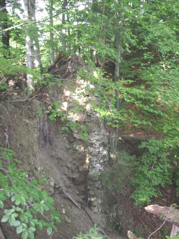 Rothenfels