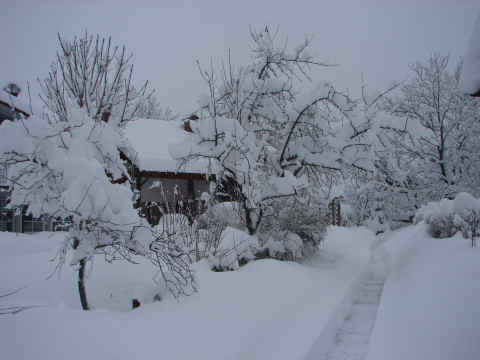 5. M&auml;rz 2006