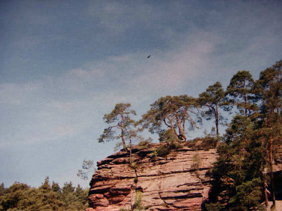 Dahner Felsenland