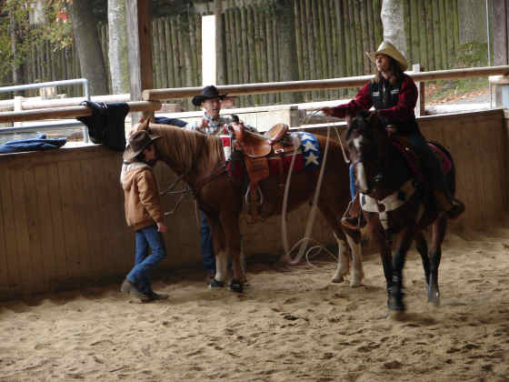 Beim Rinderfangen