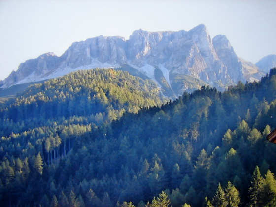 Ausblick